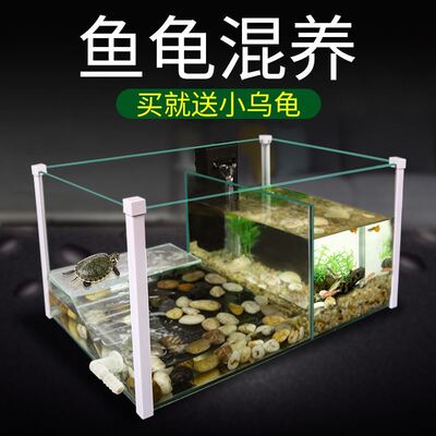 小乌龟金鱼缸和鱼龟龟鱼混养缸一体生态别墅养鱼养龟两用隔离大型