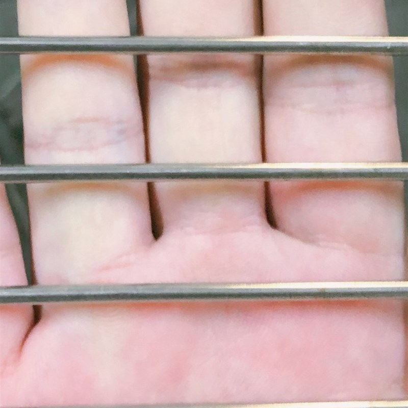 格钢丝网钢筋30网片不锈钢网加粗筛网 H钢丝网焊接4片防护网防盗