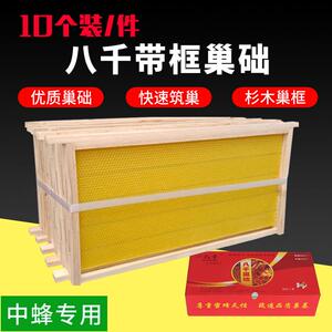 八千带框巢础成品杉木巢框巢脾中蜂意蜂巢基蜜蜂巢框养蜂工具蜂箱
