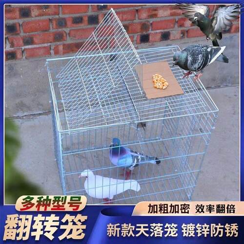 新款鸽笼自动天落鸟笼旋转笼翻板笼户外加粗鸽子养殖专用祇进不出