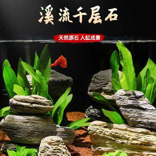 鱼缸造景石头底部砂石青龙石千层石小乌龟缸南美缸天然造景溪流石