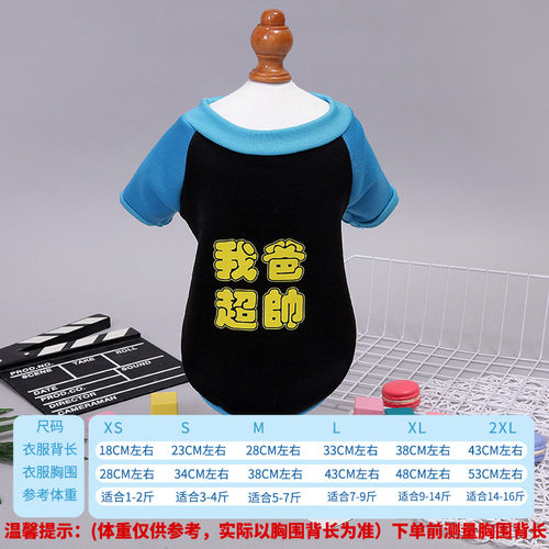 小狗狗衣服泰迪猫咪宠物幼犬雨衣