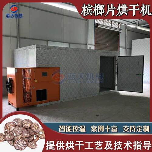 大白皮香料槟榔仁烘干房大腹槟榔果烘干设备槟榔片材烘干机