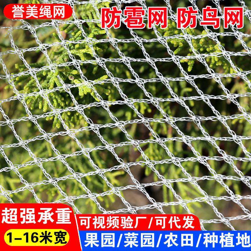 厂家防冰雹网防冰雹网园林果园跨境冰雹网聚乙烯农业防雹网