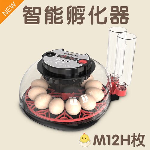 跨境小型全自动鸟类孵化器自动翻蛋温湿双显智能小鸡孵蛋器设备