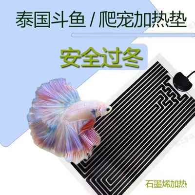 泰国斗鱼鱼缸加热垫小型加温控温爬宠热带鱼乌龟专用外加温垫设备