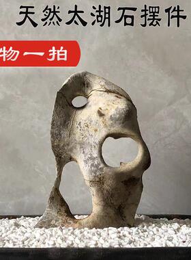 太湖石 假山盆景石头小摆件鱼缸造景附石观光石天然石材原石抱石