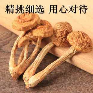 精选滑子菇500小炖g 东北菇滑子干货小黄磨滑菇香类菇山货鸡蘑菇