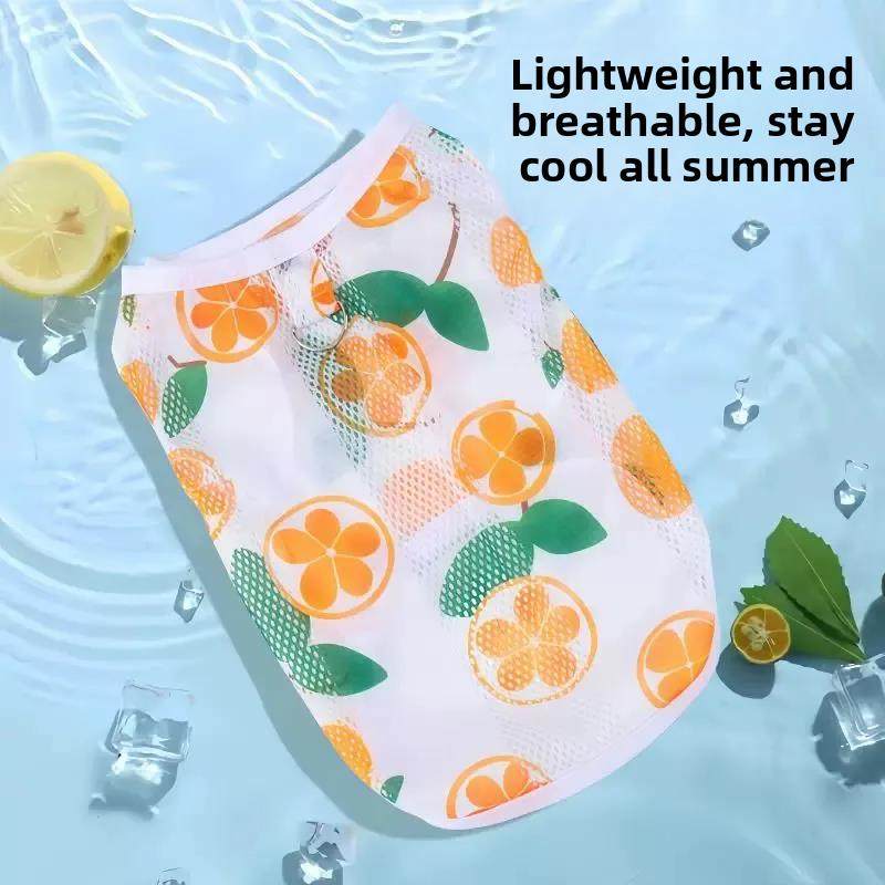 小狗衣服夏天薄泰迪比熊柯基波美拉尼亚小尺寸狗小狗宠物猫透气背,宠物/宠物食品及用品,狗宠物服装/雨衣,淘宝优惠券,粉丝福利购,淘宝优惠卷