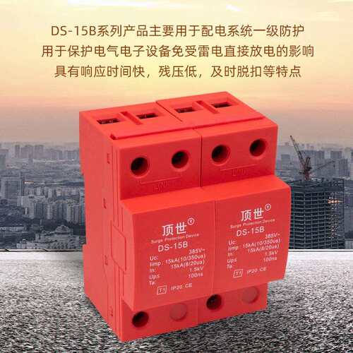 一级浪涌保护器 10/350us电源电涌防雷器 15KA顶世配电系统2P