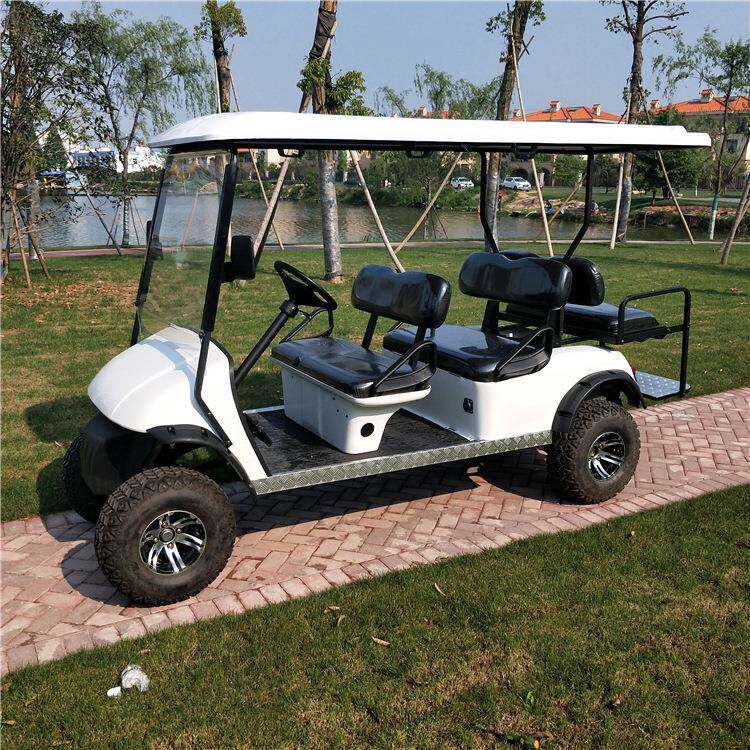 油电两用自动挡汽油机动力全地形沙滩越野四轮燃油高尔夫球车厂家