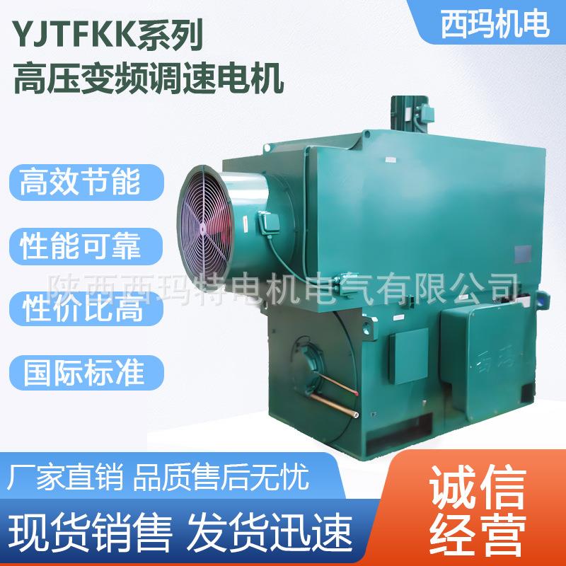 西安电机YJTF5005-12极450W低压大功率变频三相异步电动机厂图片