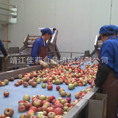 食品级尼龙网带选果机检果机人工挑选机果蔬传送上料机