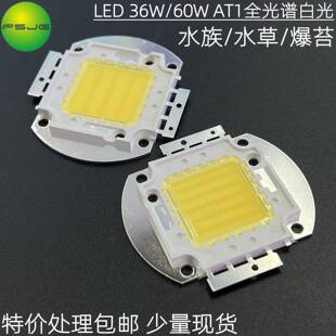 36W60W植物led灯珠灯芯植物灯鱼缸水草珊瑚灯全光谱灯珠集成光源