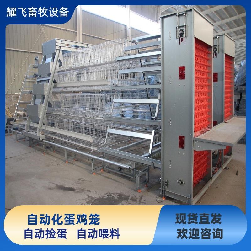 阶梯式蛋鸡笼背负式自动喂料机鸡舍养殖全套养鸡设备自动捡蛋机
