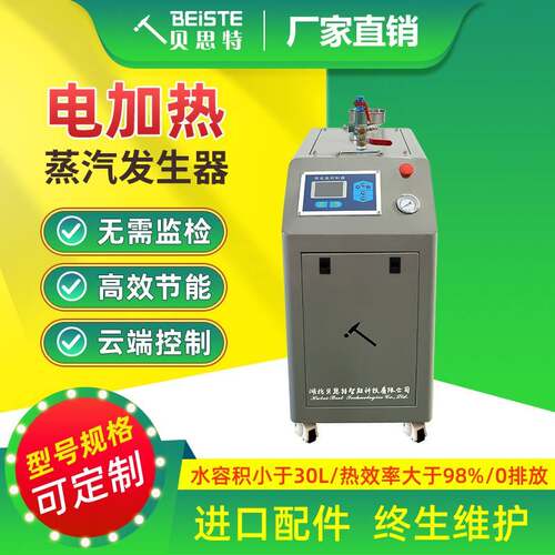蒸汽发生器贝思特厂家免报检高效节能商用工业用食品加工洗涤整烫
