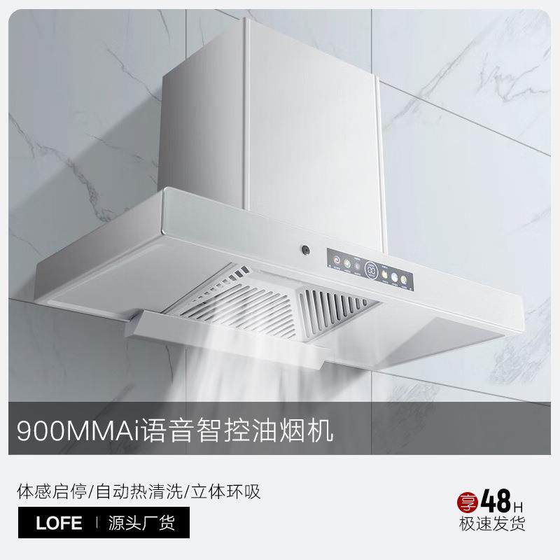 跨境爆款 | 外贸110/220V英文款T型油烟机家用厨房白色抽油烟机