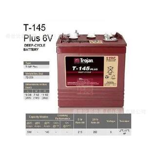 美国TROJAN邱健蓄电池T45plus扫地机6V260AH垛板车堆高机升降机