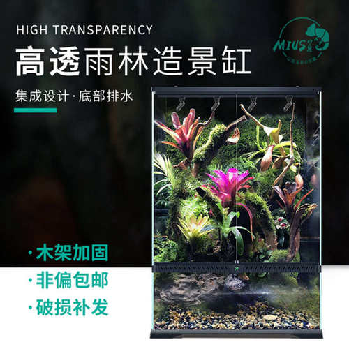 箱水族植物超白动物玻璃妙思饲养用品热带雨林mius箱缸造景雨林