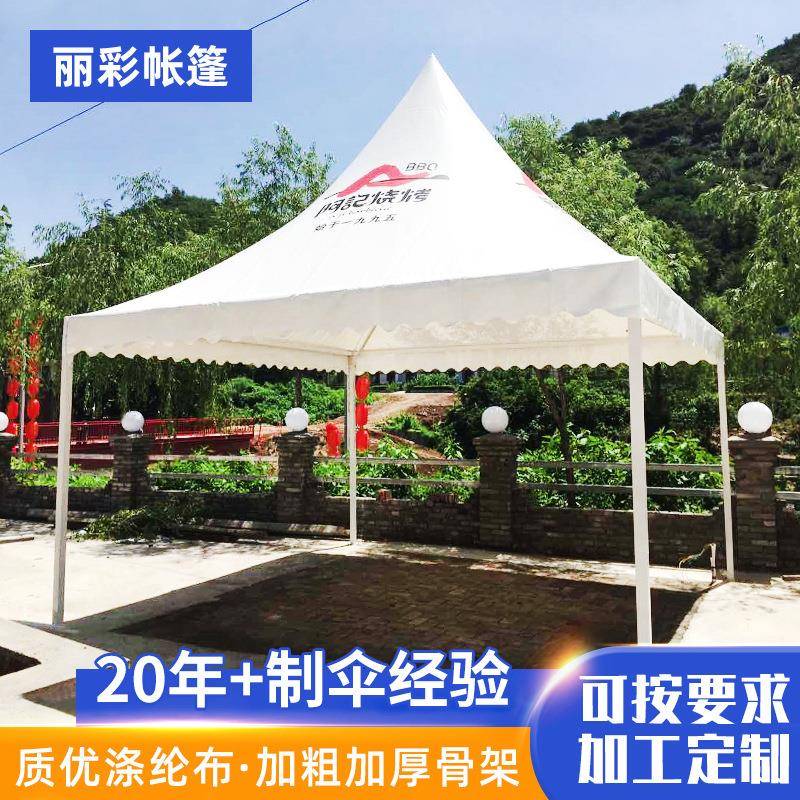 欧式尖顶篷展馆帐篷室外展览篷户外露天婚庆活动遮阳雨棚吊顶篷