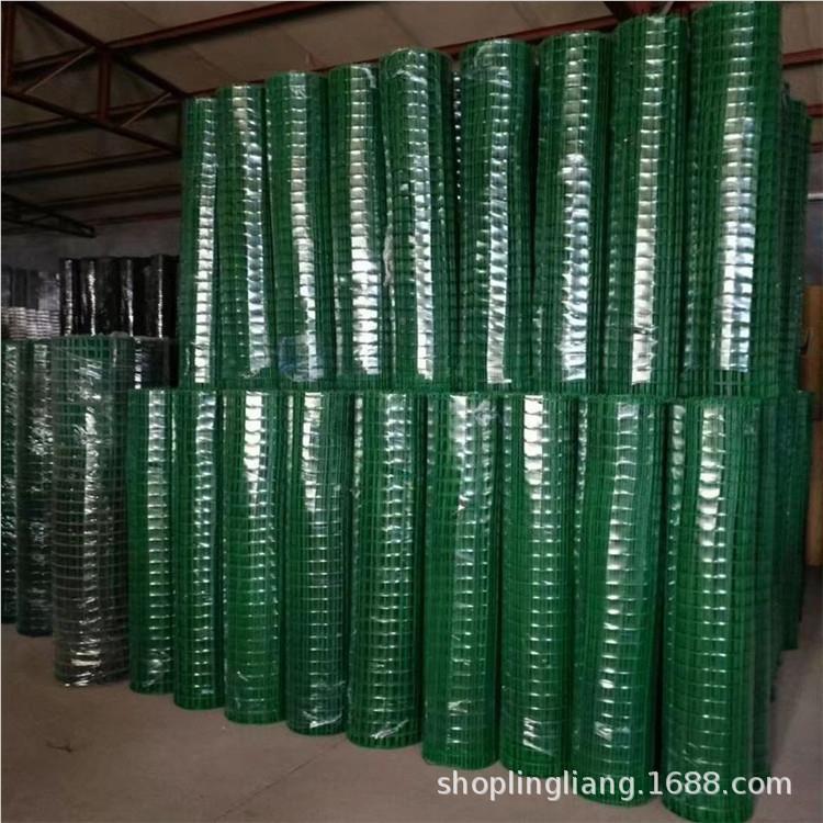 荷网应兰圈地供防护养殖浸塑TWQ荷兰网 浸兰塑荷网防护围栏网