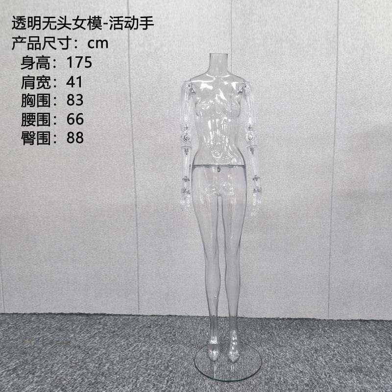 透明模特道具女全身假人台模型手臂可动调关节服装拍摄透明女模特