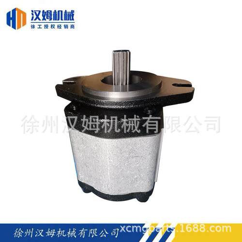 徐工原厂徐工803004202CBJ50-F25-F3K齿轮泵(XS202用转向泵)