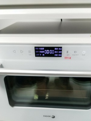 真相曝光法格蒸烤箱怎么样质量烂不烂？真实内幕