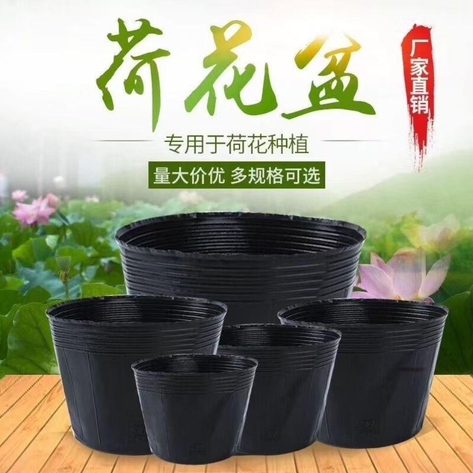 厂家塑料荷花盆加厚无孔防老化营养袋睡莲多肉营养钵育苗盆