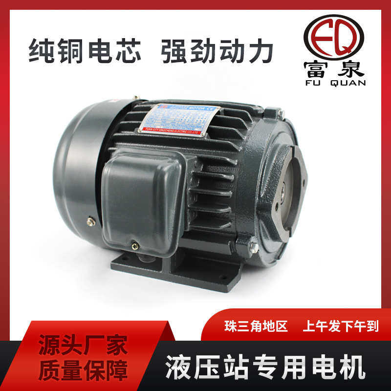 定制三相异步电动机液压马达配高压齿轮泵叶片泵液压系统油压电机