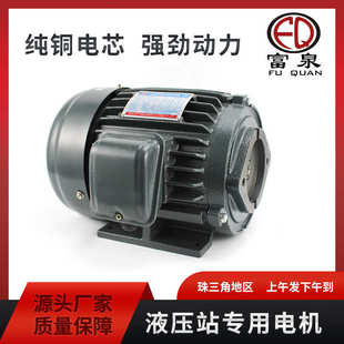 定制三相异步电动机液压马达配高压齿轮泵叶片泵液压系统油压电机