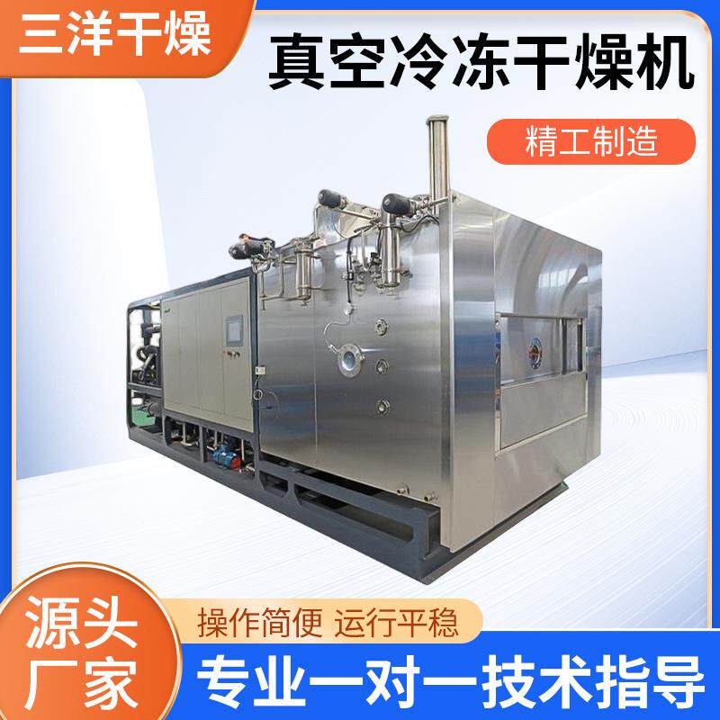 真空冷冻干燥机果蔬真空冻干机柠檬片工业冻干设备