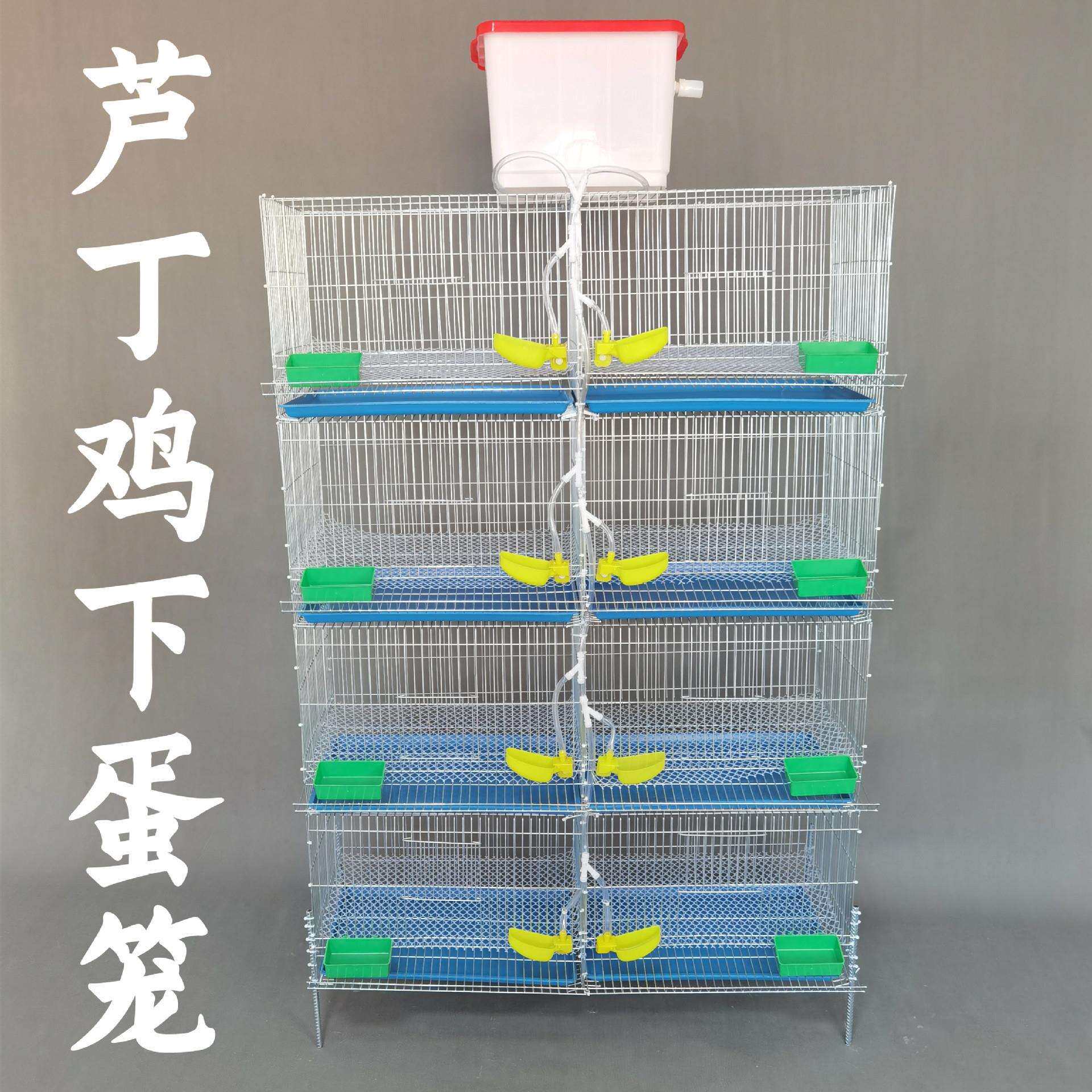 芦丁鸡下蛋笼镀锌铁丝网饲养笼自动饮水滚蛋清粪小鸡笼家用养殖笼