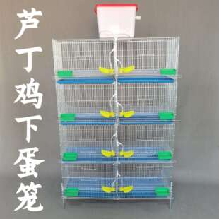 芦丁鸡下蛋笼镀锌铁丝网饲养笼自动饮水滚蛋清粪小鸡笼家用养殖笼