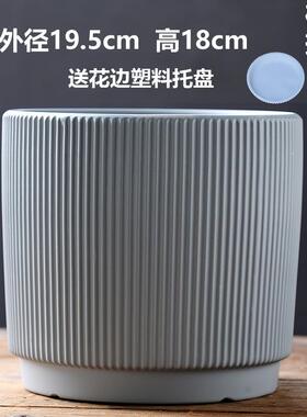 蝴蝶兰厂家直销批发代发口径花瓶