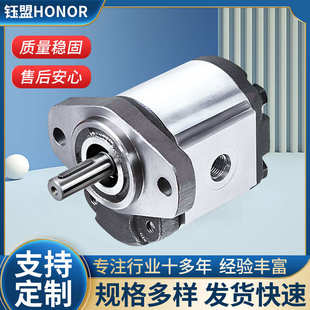 台湾钰盟HONOR齿轮泵1AG1P09R 1AG1P07R 1AG1P06R