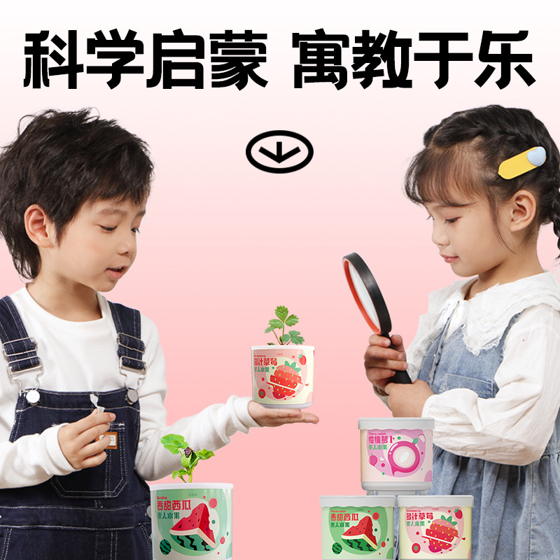 儿童小学生幼儿园懒人水果种植迷你盆栽创意趣味绿植水果种子礼品