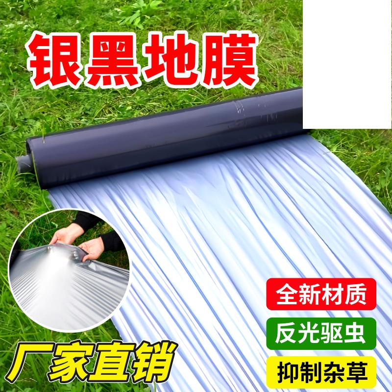 银黑双色地膜反光地膜农用种植加厚塑料薄膜种菜专用蔬菜除草黑色
