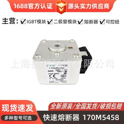 低压快速熔断器170M5458 170M5460 170M5462电子元器件 库存充足