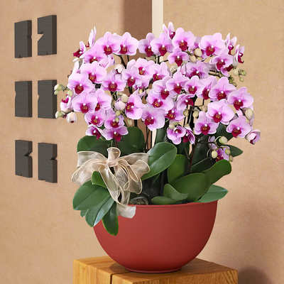 径花架大口中式铁盆花银冬青摆件艺柳植蝴蝶新花盆器绿北欧兰盆器