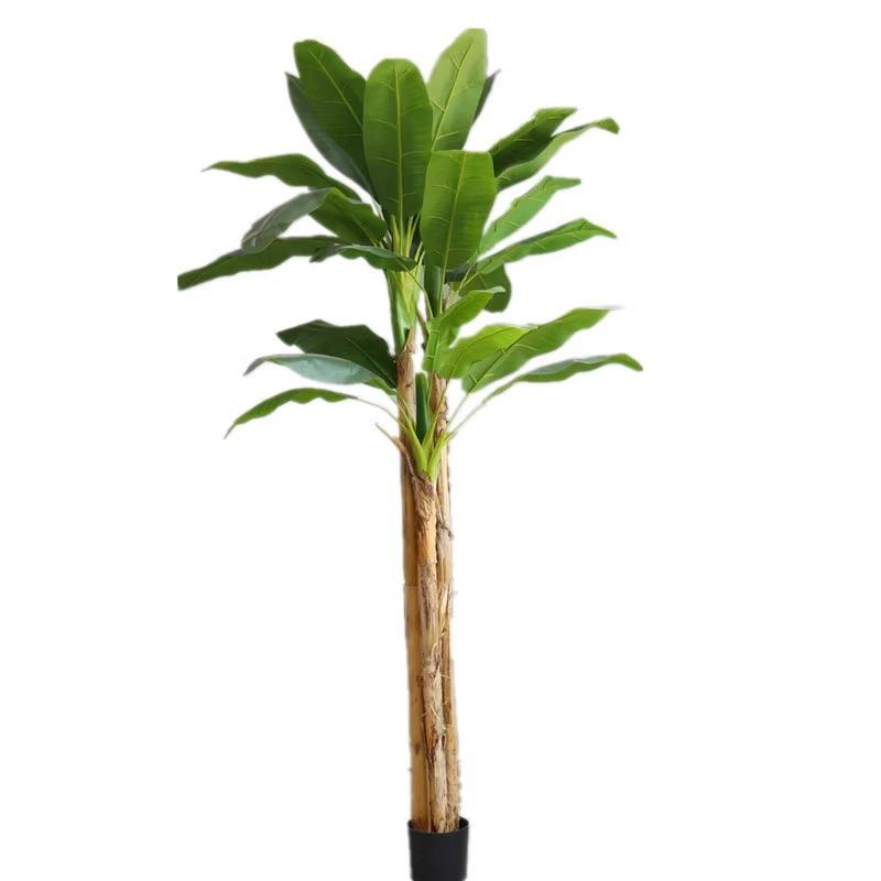 绿植大型芭蕉树落地盆景工程植物造景香蕉树室内假树仿真绿植