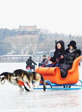 狗拉雪橇鹿拉雪橇狗拉爬犁木质爬犁价格