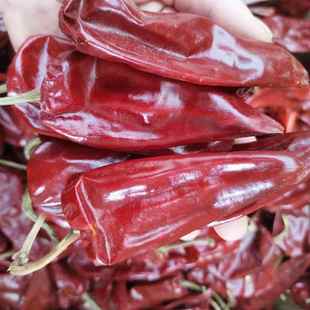 山东红干辣椒大辣椒菏泽单县干红大辣椒熬煮羊肉汤大红干辣椒一斤