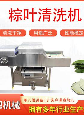 垫片清洗机硅胶垫自动清洗设备食品厂用垫子清洗机机械定制