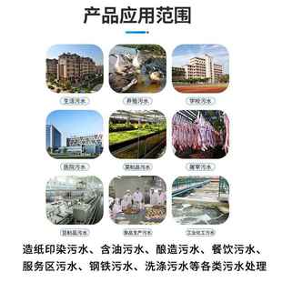 屠宰场NIK理养殖地埋区式 污水污处理设备农村小一体化生活水处设