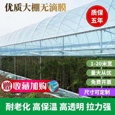 无塑料膜保加厚膜透明长寿滴塑料布po膜大棚蔬菜膜温棚抗老化养殖