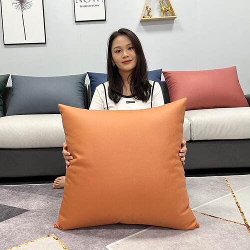 北欧科技布抱枕轻奢风高档客厅皮沙发床头大靠背垫枕头靠枕套腰枕