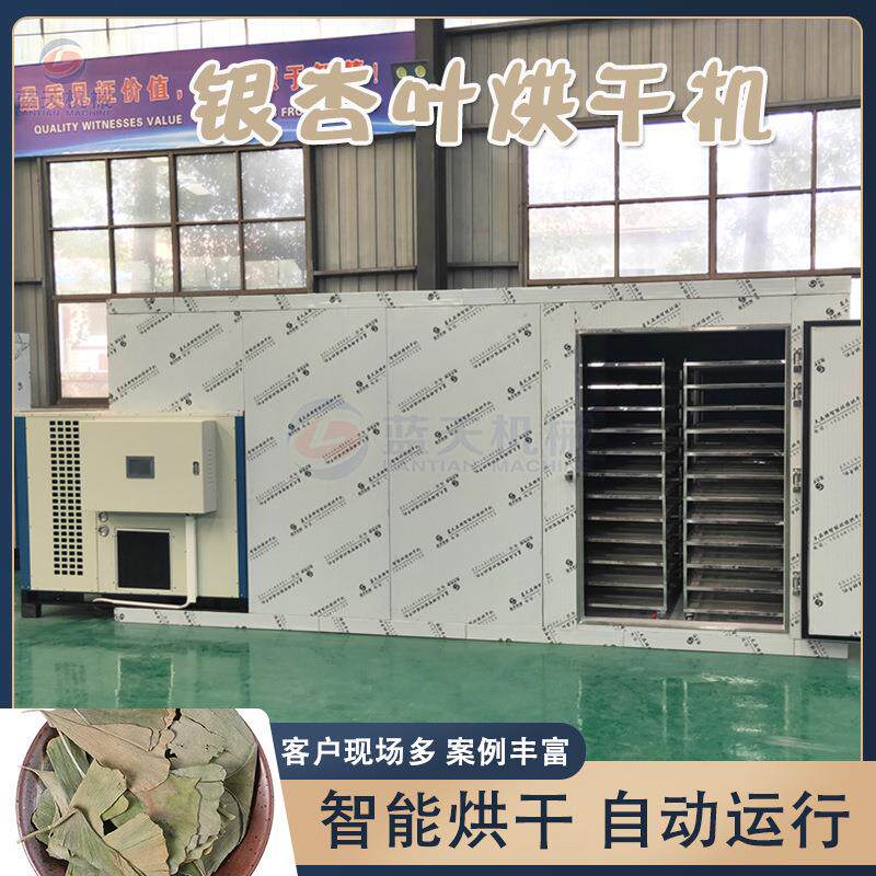 银杏树叶烘干房 白果叶飞蛾叶药材烧生物颗粒哄烤房 银杏叶烘干机