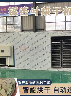 银杏树叶烘干房 白果叶飞蛾叶药材烧生物颗粒哄烤房 银杏叶烘干机
