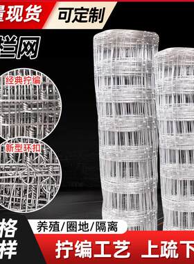 防锈围栏网热镀锌铁丝网拦牛羊圈地果园防护网圈山网养殖网牛栏网